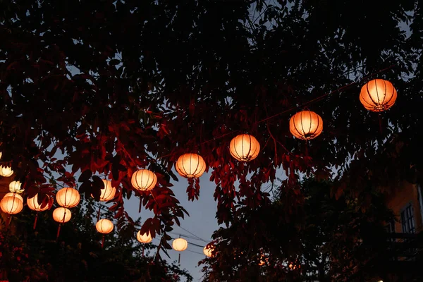 Abajo Las Linternas Iluminadas Orientales Papel Que Cuelgan Follaje Denso —  Fotos de Stock