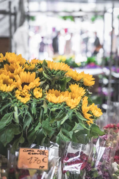 Sonnenblume auf dem Tresen im Marktstand — Stockfoto