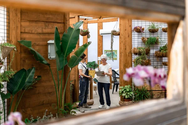 Ganzkörpererwachsene Frau mit Topfpflanze steht neben Seniorin und liest Zeitung auf Klemmbrett während der Arbeit in Orangerie hinter Fenster — Stockfoto