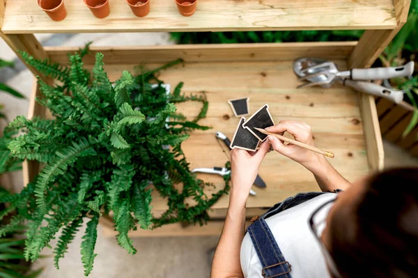 Vista superior de la mujer anónima haciendo notas en las etiquetas mientras está de pie cerca de la mesa de madera con maceta en el jardín interior - foto de stock