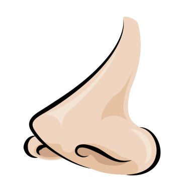 Vektör içinde burun