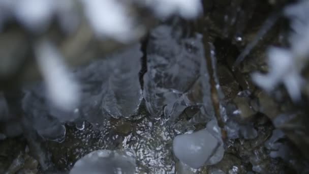 Гірський потік взимку — стокове відео