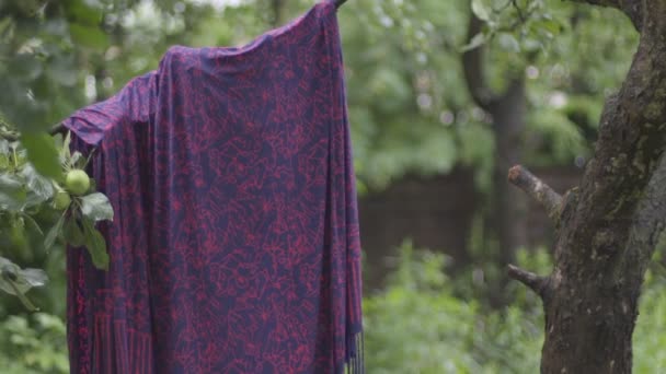 Purpurfarbener Schal hängt in Zeitlupe auf dem Astwagen — Stockvideo