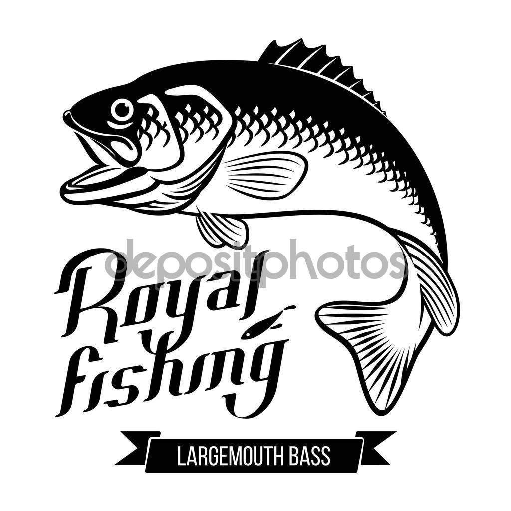 Largemouth Bass with open mouth. Fish vector illustration. Royal fishing calligraphy