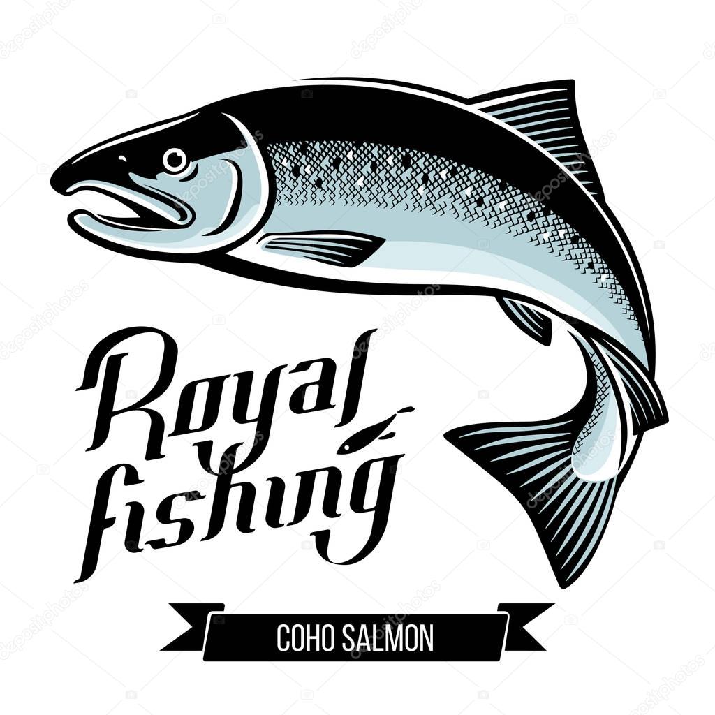 Silver Coho Salmon fish. Color outline vector illustration