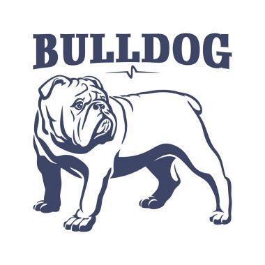 İngiliz bulldog maskot amblemi illüstrasyon