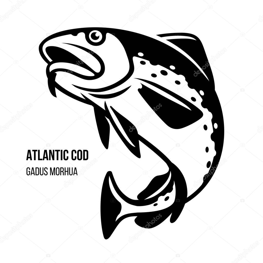 Atlantic Cod fish vector illustration