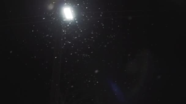 Salju turun dengan lampu jalan di malam hari. Video latar belakang musim gugur salju yang dapat berulang . — Stok Video