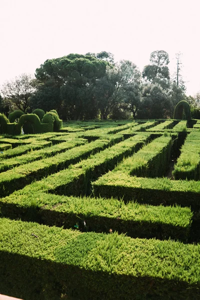 Barcelona'da Park labirent