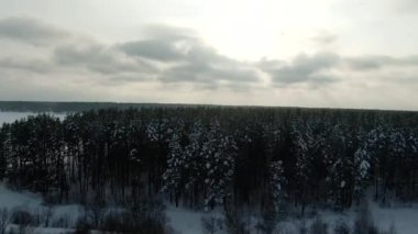 Kış Ormanı Karlı Çam ağaçları kış havası manzaralı 4k cideo 'da destansı günbatımı. Spruce Kış Ormanında İHA Uçuşu. Güzel Arkaplan Kışı, Donmuş Ağaçlar Altın Gün Batımı, Güneş merceği