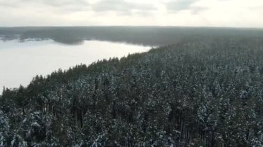 Kış Ormanı Karlı Çam ağaçları kış havası manzaralı 4k cideo 'da destansı günbatımı. Spruce Kış Ormanında İHA Uçuşu. Güzel Arkaplan Kışı, Donmuş Ağaçlar Altın Gün Batımı, Güneş merceği