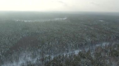Hava manzaralı, kış ormanı. Kış ormanı manzaralı karlı bir ağaç dalı. Kış manzarası, orman, buzla kaplı ağaçlar, kar. Hava görüntüleri, 4K video. Kış mevsiminde dağ ormanı.