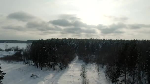 Inverno Foresta Neve Pino epico tramonto in inverno vista aerea 4K cideo. Drone volo sopra abete foresta invernale. Bello sfondo WInter, alberi congelati Golden Sunset, lente solare — Video Stock