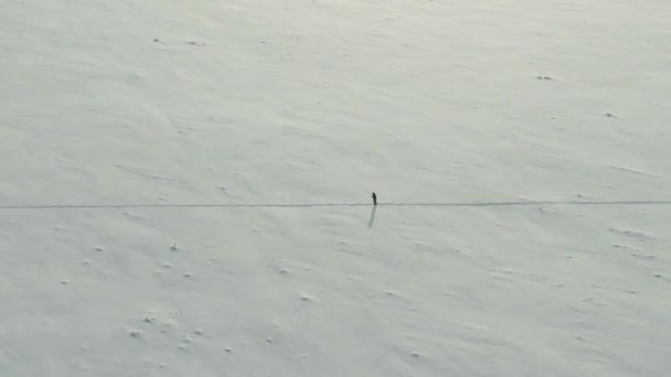 Hava manzarası: 4k Yalnız bir kayakçı karlı bir arazide yol alır, karlı bir çöl. — Stok video