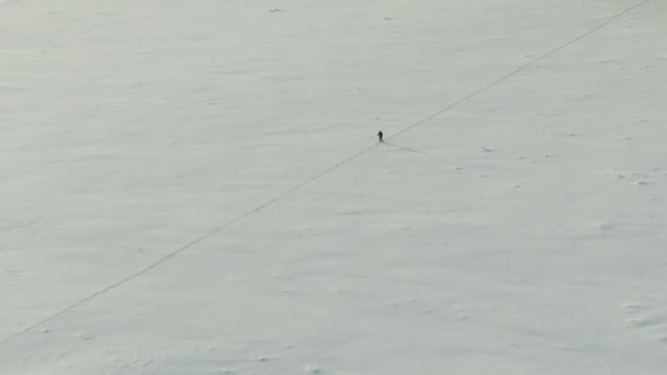 Εναέρια άποψη: 4k Ένας μοναχικός σκιέρ κάνει το δρόμο του μέσα από ένα χιονισμένο πεδίο, μια χιονισμένη έρημο — Αρχείο Βίντεο
