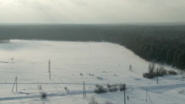 Widok z lotu ptaka: krajobrazy krajobraz zima śnieg, Las, pola. Feld, Las, drzewa, pokryte śniegiem mrozem, ujęcia. Zima Krajobraz kraju — Wideo stockowe