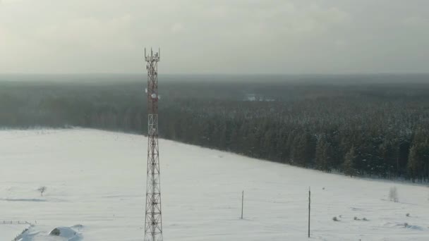 Αεροφωτογραφία: χειμερινό τοπίο υπαίθρου με χιόνι, δάσος, πεδίο. Feld, δάσος, δέντρα καλυμμένα με χιόνι παγετού, εναέρια πλάνα. Χειμωνιάτικο τοπίο της χώρας — Αρχείο Βίντεο