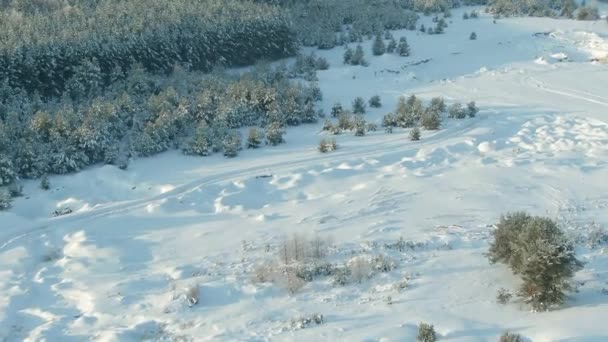 Uitzicht vanuit de lucht: winterbos. Snowy boomtak in een uitzicht op het winterbos. Winterlandschap, bos, bomen bedekt met vorst, sneeuw. Luchtbeelden, 4K video. Bergbos in het winterseizoen. — Stockvideo