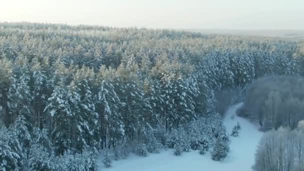 空中ビュー:冬の森。冬の森を望む雪の木の枝。冬の風景、森、木々の霜、雪に覆われた。空中映像, 4kビデオ.冬の山林. — ストック動画