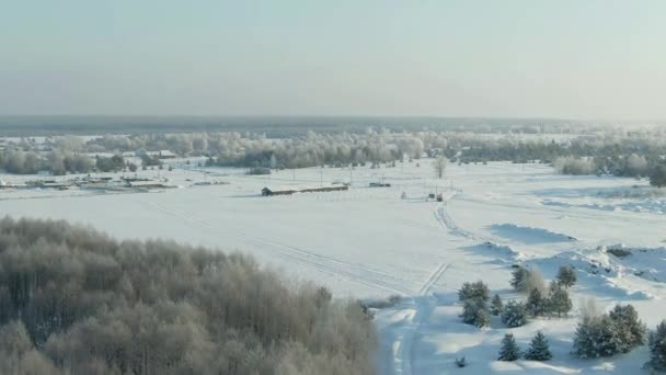 Widok z powietrza: zimowy las. Snowy gałąź drzewa w widoku na zimowy las. Zimowy krajobraz, las, drzewa pokryte mrozem, śnieg. Nagranie z lotu ptaka, wideo 4K. Las górski w sezonie zimowym. — Wideo stockowe