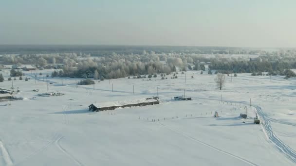Pole pokryte śniegiem w sezonie zimowym. Zima Krajobraz wsi, lasu, pola, drzewa pokryte śniegiem. — Wideo stockowe