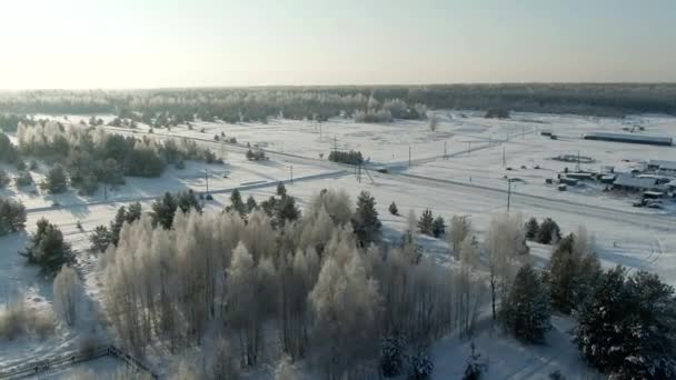 Widok z powietrza: zimowy las. Snowy gałąź drzewa w widoku na zimowy las. Zimowy krajobraz, las, drzewa pokryte mrozem, śnieg. Nagranie z lotu ptaka, wideo 4K. Las górski w sezonie zimowym. — Wideo stockowe