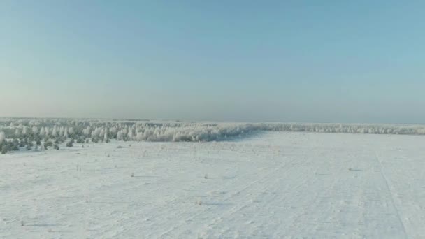 Området är täckt av snö i en vintersäsong. Vinterlandskap i landsbygden, skog, fält, träd täckta med snö. — Stockvideo