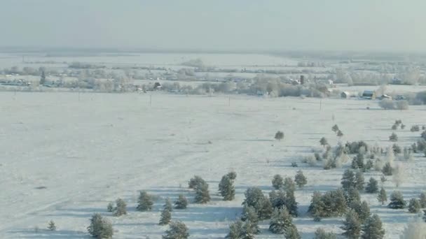 Το πεδίο καλυμμένα με χιόνι σε μια εποχή του χειμώνα. Αεροφωτογραφία: χειμερινό τοπίο υπαίθρου, δάσος, πεδίο. Χειμερινό τοπίο, πεδίο, ξυλο, δέντρα καλυμμένα με χιόνι παγετού εναέρια πλάνα βίντεο 4k — Αρχείο Βίντεο
