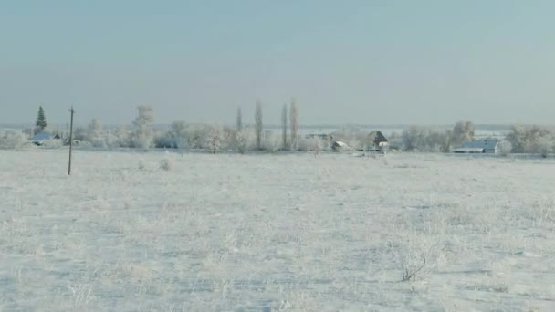 Het veld bedekt met sneeuw in een winterseizoen. Luchtfoto: Winter landschap platteland, bos, veld. Winter landschap, veld, bos, bomen bedekt met vorst, sneeuw luchtfoto beeldmateriaal 4k video — Stockvideo