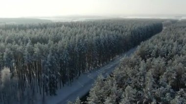 Hava manzaralı, kış ormanı. Kış ormanı manzaralı karlı bir ağaç dalı. Kış manzarası, orman, buzla kaplı ağaçlar, kar. Hava görüntüleri, 4K video. Kış mevsiminde dağ ormanı.