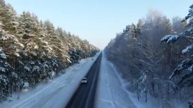 Ağaçlar kış manzarası, yol ve kar kaplı. Otoyol orman arasında hava görünümünü. Kış orman görünümünde karlı ağaç dal. Havadan görüntüleri, 4k video.