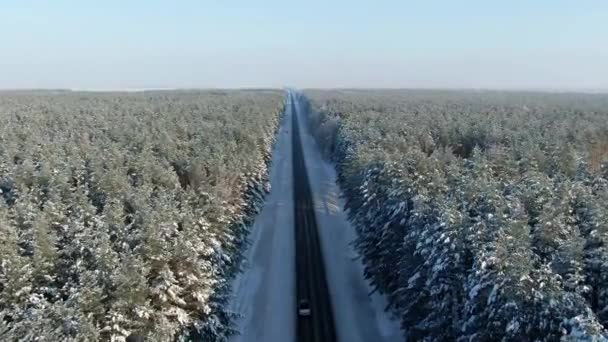 冬の風景、道路や雪の木に覆われています。森の高速道路の空撮。冬の森のビューで雪に覆われた木の枝。空中映像を 4 k 映像. — ストック動画