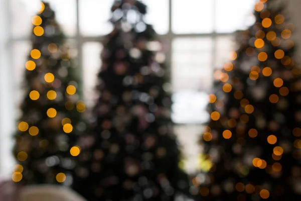 Blurred background. Three elegant Christmas trees in a bright room. New Years and Christmas