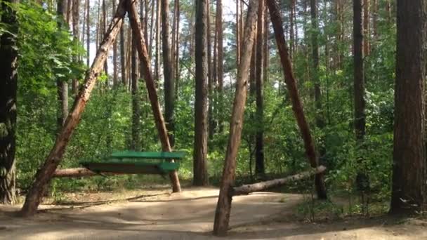 Columpio en las piernas de madera. Rocas en un claro bosque. Alrededor de muchos árboles y arbustos verdes. Hermosa naturaleza . — Vídeo de stock