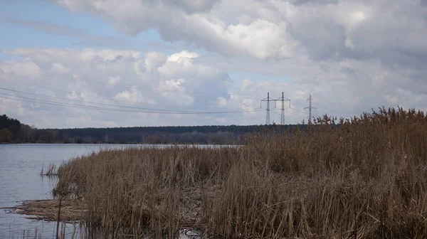 На берегу реки растет высокая сухая трава. Вид на реку в облачную погоду . — стоковое фото