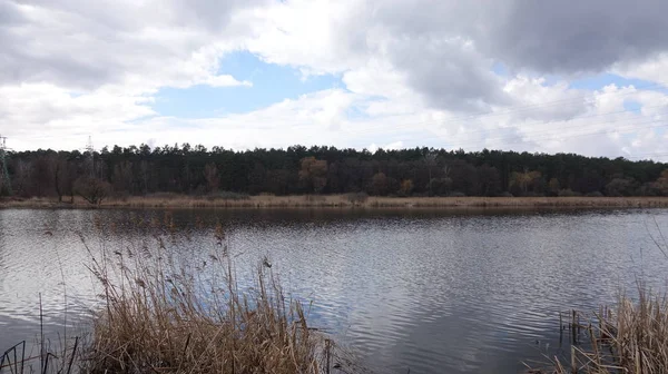 Sur le bord de la rivière poussent de grandes herbes sèches. Vue sur la rivière par temps nuageux . — Photo