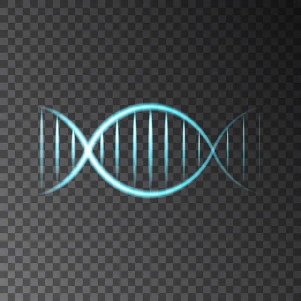 Blu neon brillante elica DNA isolato su sfondo trasparente — Vettoriale Stock