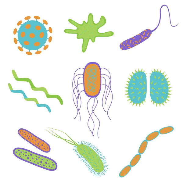 Flat tecknad design bakterier och bakterier ikoner på vita bak — Stock vektor