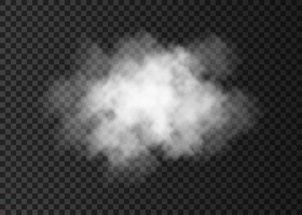 Witte transparante rook wolk geïsoleerd op donkere achtergrond. — Stockvector