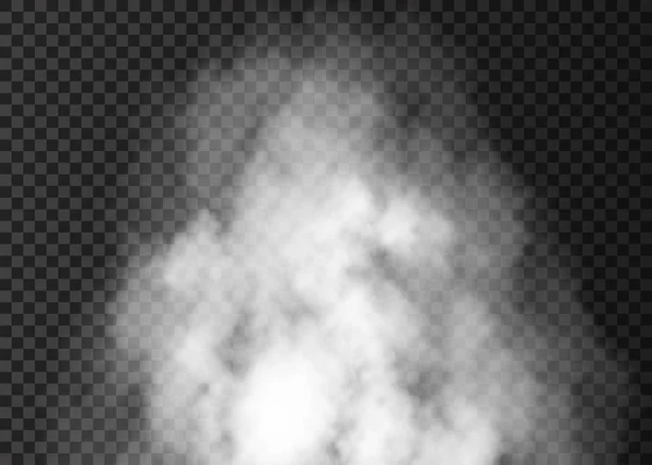 Realistic  white smoke  isolated on transparent background. — Stock Vector