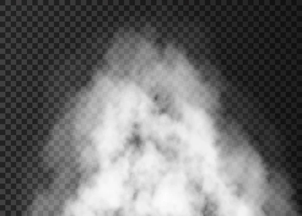 孤立在透明背景上的白色烟雾爆炸. — 图库矢量图片