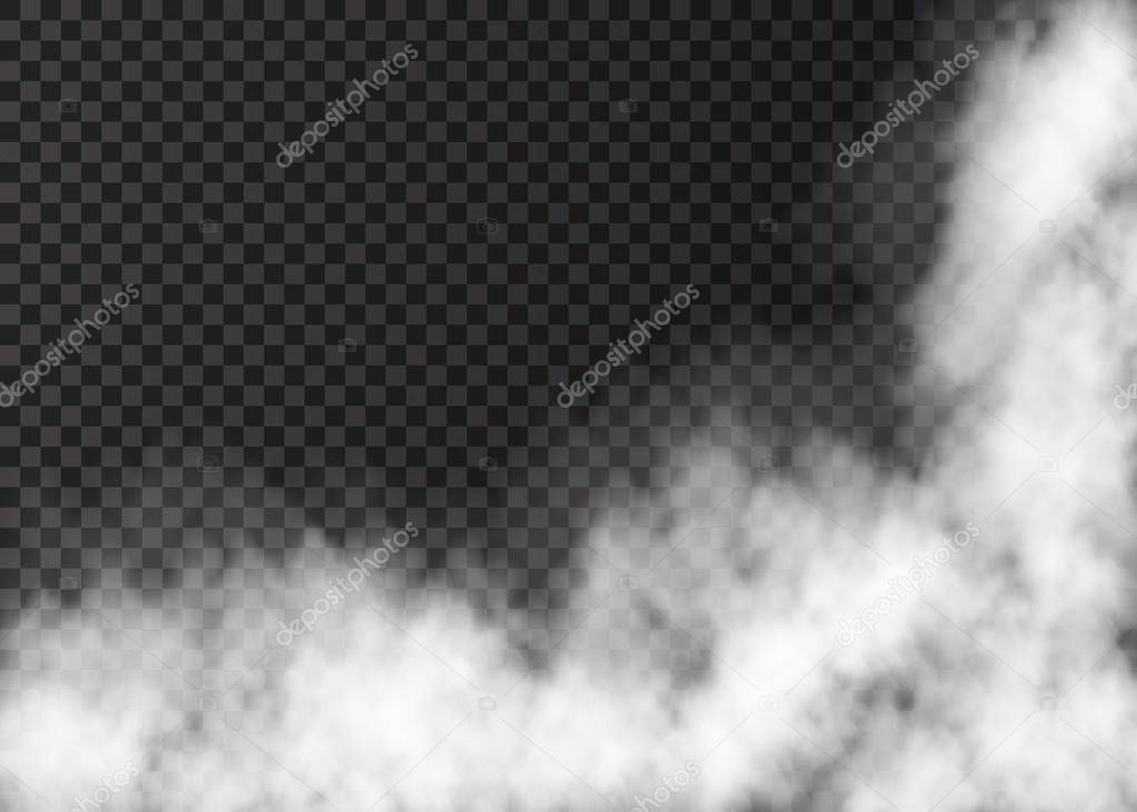  Realistic  vector fire smoke  or mist texture.