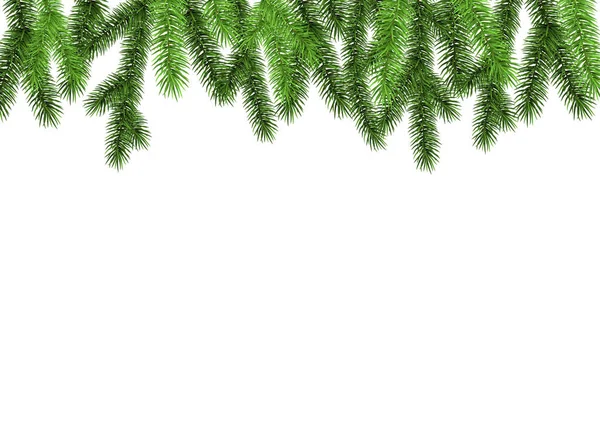 白い背景のトウヒのクリスマス ブランチ. — ストックベクタ