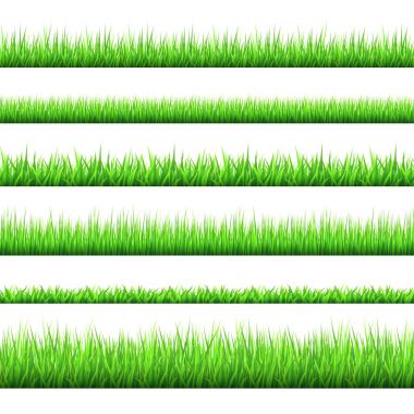 Spring green grass  borders  set  isolated on white background. clipart
