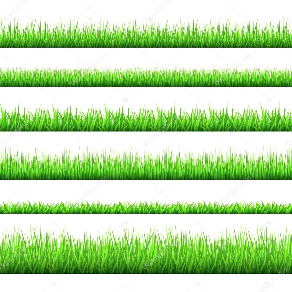 Spring green grass  borders  set  isolated on white background.