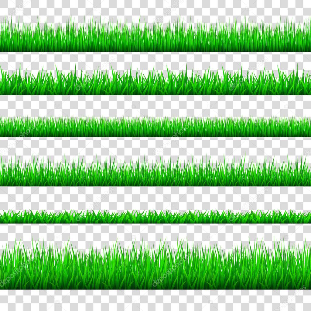 Spring green grass  borders  set  isolated on transparent  backg