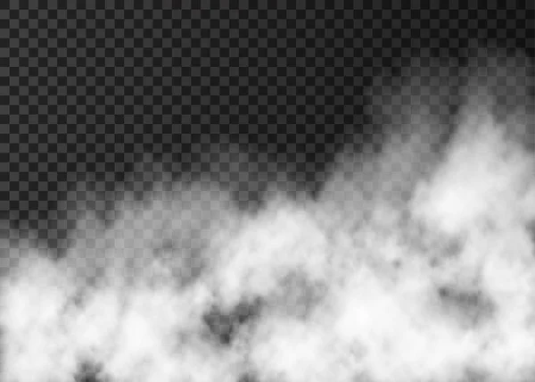 Vit dimma textur isolerad på transparent bakgrund. — Stock vektor