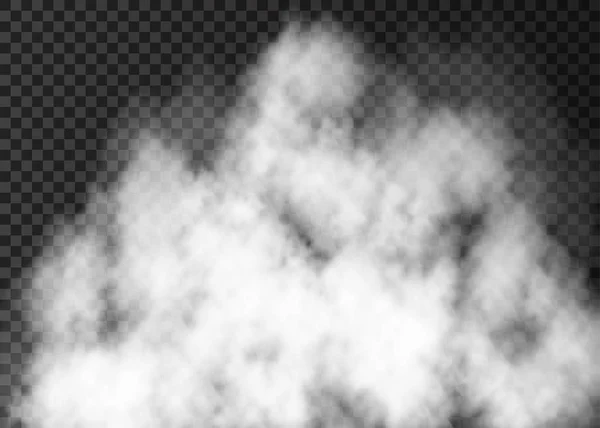透明な背景に分離された現実的な白煙. — ストックベクタ