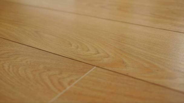 The camera moves along the floor, covered with laminated parquet with a brown wooden texture — Stock Footage The camera moves along the floor, covered with laminated parquet with a brown wooden texture Royalty Free Stock Video