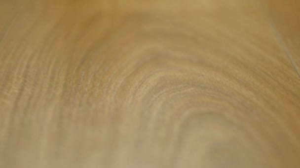 The camera moves along the floor, covered with laminated parquet with a brown wooden texture — Stock Footage The camera moves along the floor, covered with laminated parquet with a brown wooden texture Video Clip